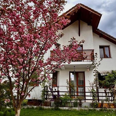 شقة Cristina House براشوف المظهر الخارجي الصورة