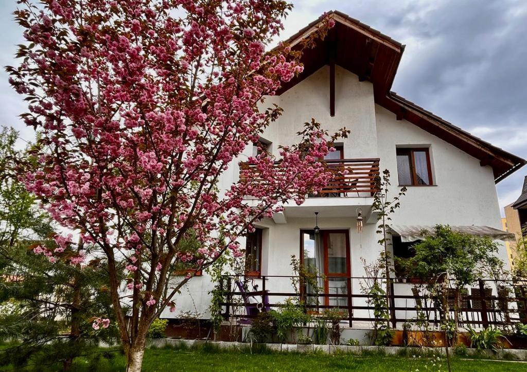 شقة Cristina House براشوف المظهر الخارجي الصورة